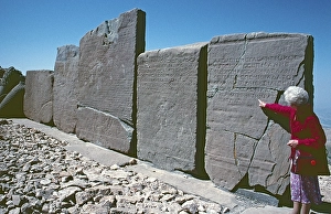 Tourist, labelled back of the relief panels