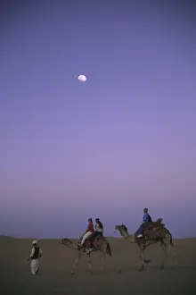 Category Historic EN Prints: Tourist sitting on camels fall of night with moon at Sam sand dunes