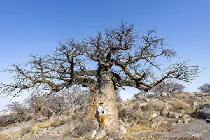 Tourist standing in front of a large baobab