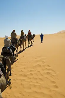 Tourists on dromedaries in the desert
