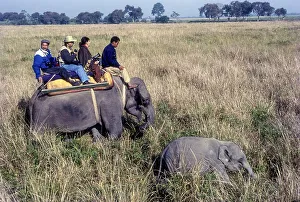 Tourists an Elephant back at Kaziranga National Park