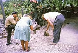 Tourists with fox cub at Euryalus fortress fort, Syracuse, Sicily, Italy, Europe 1969, Europe