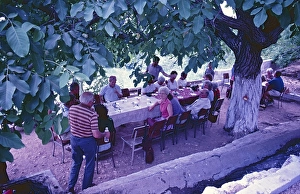 Tourists, garden pub, walnut tree