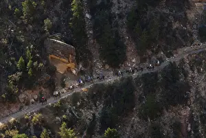 Tourists, Mules, Tour, Valley, Grand Canyon
