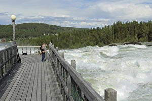 Tourists at the rapids Storforsen in the river Piteaelven