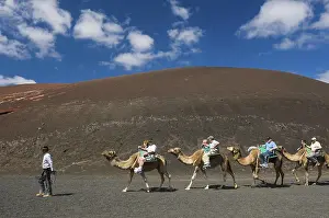 Tourists riding camels in Montana del Fuego de Timanfaya National Park