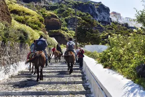 Tourists riding donkeys, mules