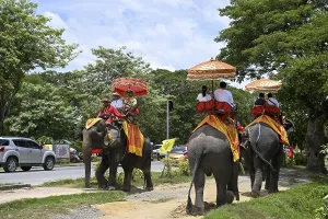 Tourists on riding elephants near the Grand Palace
