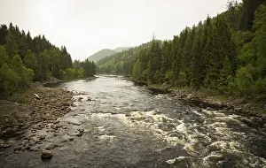 Tovdalselva, a river in south part of Norway
