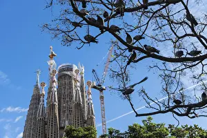 Towers of the Sagrada Familia basilica under construction