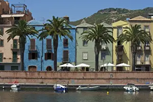 The town of Bosa on the Temo river