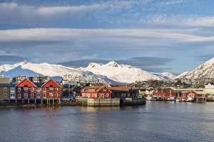 Category Scandinavia Prints: Townscape Svolvaer, harbour, snow-covered mountains in the background