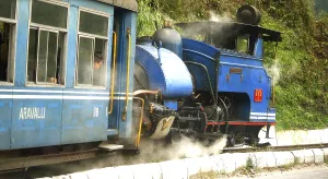 Toy train in action, Darjeeling