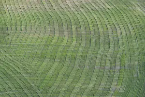 Traces on a cultivated area, Crete Senesi