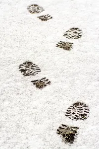 Tracks left by boots in freshly fallen snow reveal a path through a serene winter environment