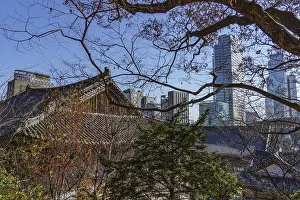 Framed Print : Traditional architecture against a modern skyline