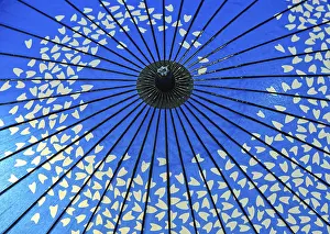 Traditional blue oil paper umbrella