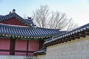 Traditional building architecture with tiled roofs and tree backdrop