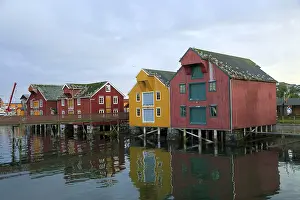 Traditional harbour buildings, fishing village Rorvik