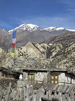 Traditional house, prayer flags, Nepal