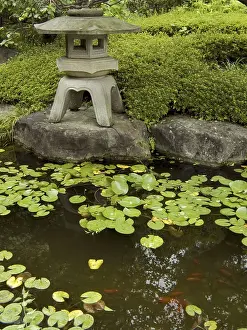 Framed Print : Traditional japanese garden, stone lantern and small pond with small red fishes
