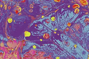 Category Historic EN Prints: Traditional Ottoman Turkish marbling art patterns as abstract colorful background