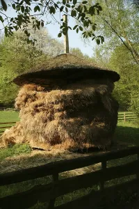 Traditional stockpiling on a farm