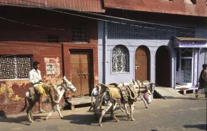 Traffic, here in New Delhi, Agra and Central India in October 1999
