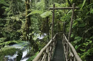 Trail in cloud forest, La Paz Waterfall Gardens