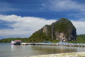 Trang province was dependent on tin mining until the first rubber seedlings were brought into Thailand around 1901