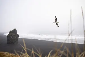 A tranquil scene from Reynisfjara Beach