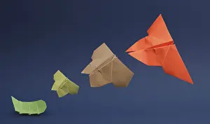 Transformation from caterpillar to butterfly