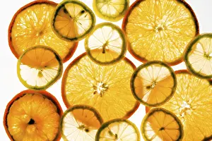 Transparent slices of lemon and orange in the light