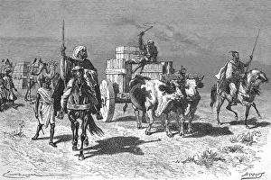 Transport by oxcart through the desert in Morocco