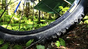 Travel by bike in forest area. Bicycle among coniferous forest in camping
