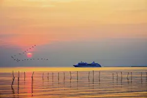 Category Wildlife DE Prints: Travel by Cruises ship in the ocean large luxury passenger boat is sailing on the sea