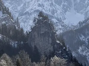 Tree-covered rock in front of snow-covered mountain massif