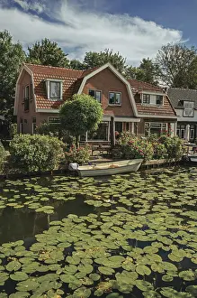 Tree-lined canal with aquatic plants