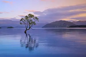 A tree reflected in a lake surrounded by mountains at dusk