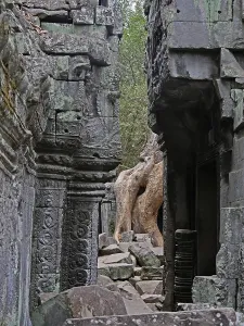 Tree roots grow over the ancient Ta Prohm temple