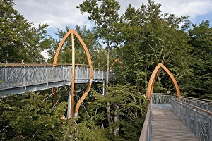 Tree-top Walk, Kellerwald National Park forest