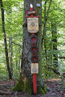 Tree trunk with sign, northernmost point of the Rhaetian Limes