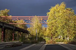 Trees in autumn colour, Zollverein Colliery