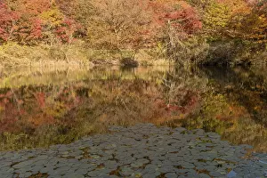 Trees in beautiful fall colors on shoreline of mountain pond with slightly blurred reflections in water