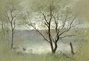 Two trees in the foreground framing the composition