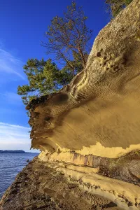 Trees growing above the eroded sandstone rock formation of the Malaspina Galleries on Gabriola Island