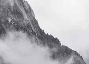 Trees and rocky mountain partially obscured by dense fog