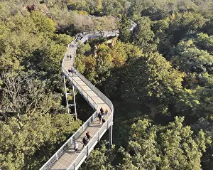 Treetop trail over dense forest with walkers