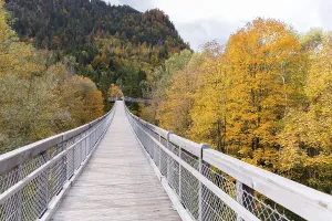 Treetop walk over the autumn forest at Forest Experience Centre Ziegelwiesen