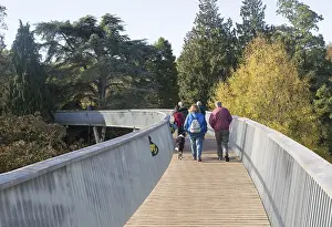 Treetop walkway to Silk Wood, National arboretum